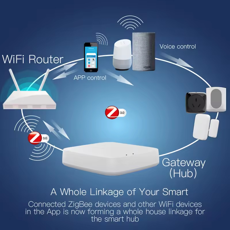 Moes Tuya ZigBee 3.0 Smart Gat - مراجعة Smart Home Zentrale وسعره