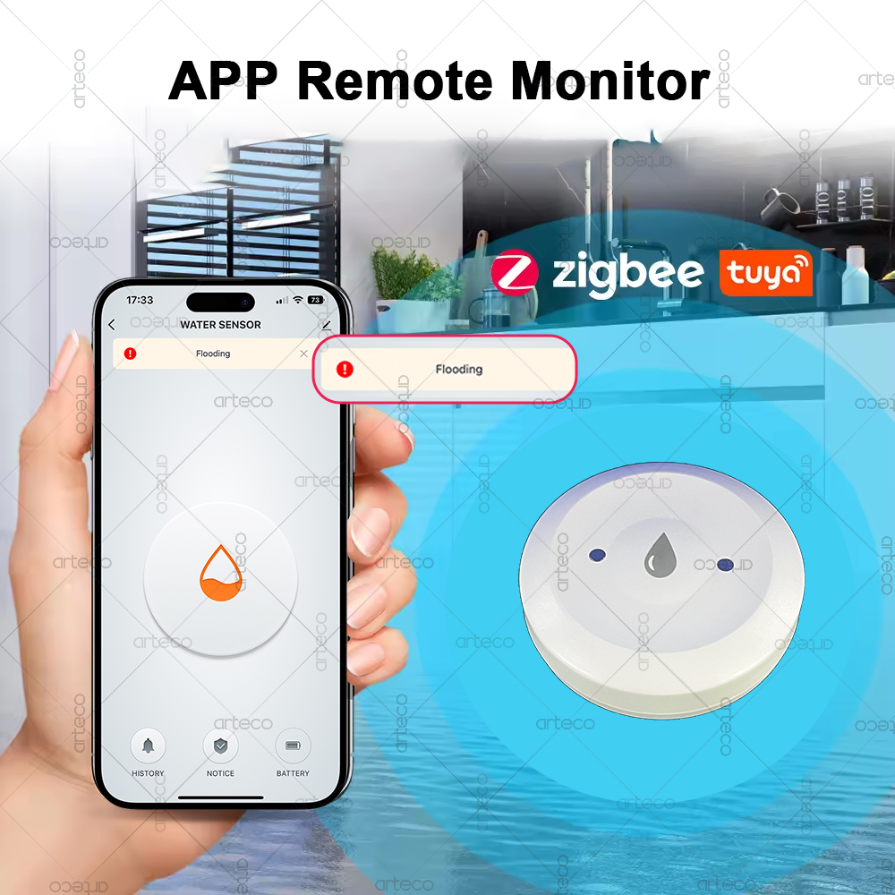 Tuya الذكية زيجبي المياه الاست - مراجعة Smart Home Setup وسعره