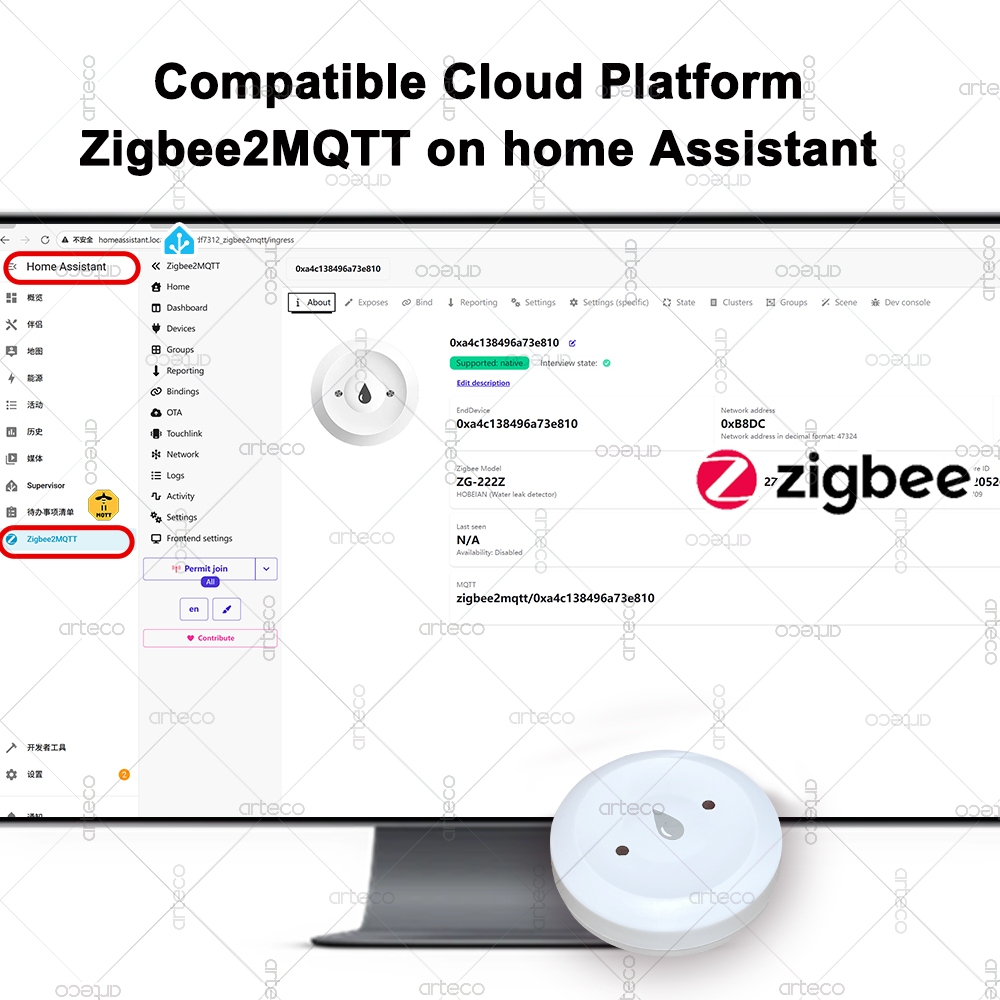 Tuya الذكية زيجبي المياه الاست - مراجعة Smart Home Setup وسعره